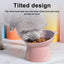 Tilted Cat Food Bowl Elevated Cat Bowl Ergonomic Cat Food Dish anti Vomiting Raised Cat Food Bowl Non Slip for Cats Dogs